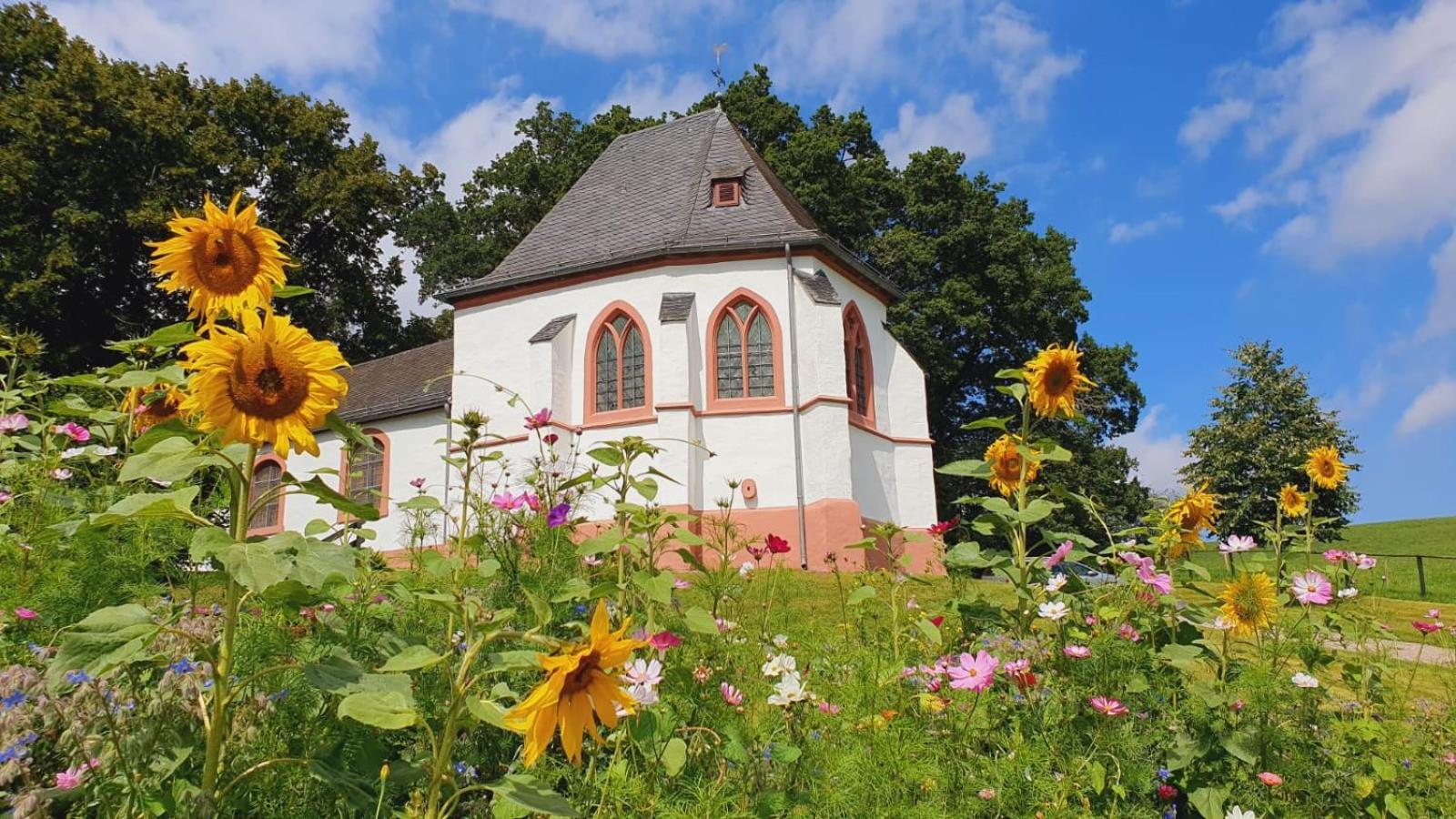 Ferienhaus Deine Zeit Mit Sauna Und Wallbox Nettersheim エクステリア 写真